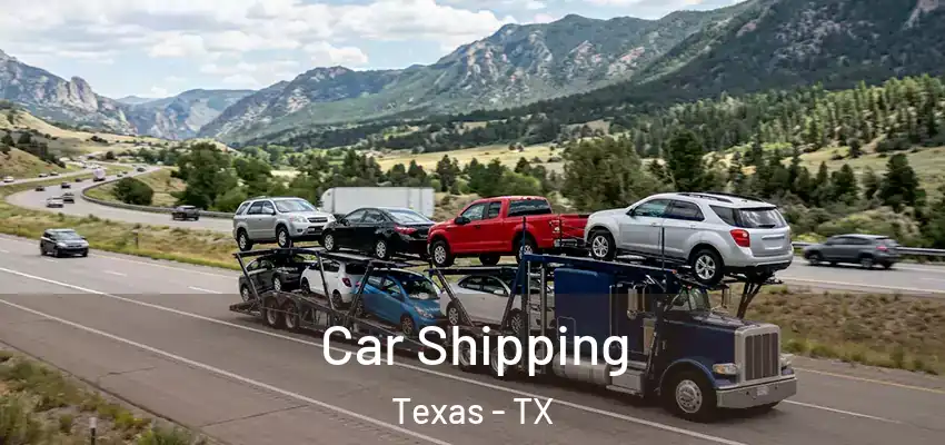 Car Shipping Texas - TX